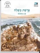 Cet-Le Team - Matok Beshalah Br11