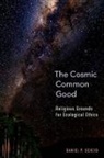 Daniel P Scheid, Daniel P. Scheid, Daniel P. (Assistant Professor of Theology Scheid, Scheid Daniel P. - Cosmic Common Good