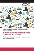 Claudia Mirey de Lira Castañón, Claudia Mireya de Lira Castañón, Irma Cruz Gavilán G., Con Letechipía L, Consuelo Letechipía L. - Elementos Potencialmente Tóxicos en suelos