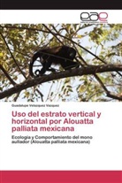 Guadalupe Velazquez Vazquez - Uso del estrato vertical y horizontal por Alouatta palliata mexicana