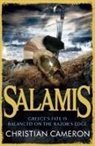 Christian Cameron - Salamis