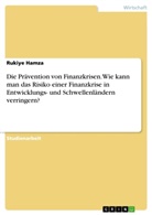 Rukiye Hamza - Die Prävention von Finanzkrisen. Wie kann man das Risiko einer Finanzkrise in Entwicklungs- und Schwellenländern verringern?