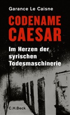 Garance Le Caisne - Codename Caesar