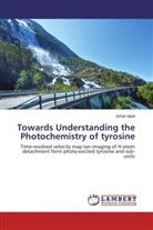 Azhar Iqbal - Towards Understanding the Photochemistry of tyrosine