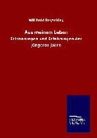 Willibald Beyschlag - Aus meinem Leben