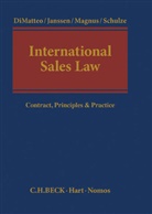 Larry DiMateo, Larry A. DiMateo, Larry A. DiMatteo, Andr Janssen, André Janssen, Ulrich Magnus... - International Sales Law