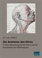 A. F. von Tröltsch, Anton Friedrich von Tröltsch, A F von Tröltsch, A. F. von Tröltsch - Die Anatomie des Ohres