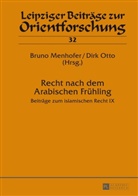 Bruno Menhofer, Dirk Otto - Recht nach dem Arabischen Frühling