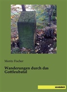Moritz Fischer - Wanderungen durch das Gottleubatal