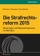 Alois Birklbauer, Johannes Oberlaber, Kathrin Schmidthuber, Kathrin Stiebellehner - Die Strafrechtsreform 2015
