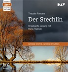 Theodor Fontane, Hans Paetsch - Der Stechlin, 2 Audio-CD, 2 MP3 (Audio book)