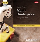 Theodor Fontane, Kurt Böwe - Meine Kinderjahre, 1 Audio-CD, 1 MP3 (Audio book)