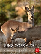 Brun Hespeler, Bruno Hespeler, Bern Krewer, Bernd Krewer - Jung oder alt?