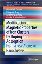 Kalayu Belay, Kalayu G Belay, Kalayu G. Belay, Gennady Gutsev, Gennady L Gutsev, Gennady L. Gutsev... - Modification of Magnetic Properties of Iron Clusters by Doping and Adsorption