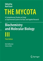 Karl Esser, Dir Hoffmeister, Dirk Hoffmeister, Paul A. Lemke - The Mycota - III: Biochemistry and Molecular Biology