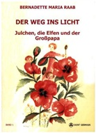 Bernadette Maria Raab - Der Weg ins Licht. Bd.1