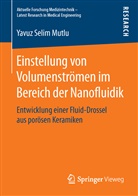 Yavuz Selim Mutlu - Einstellung von Volumenströmen im Bereich der Nanofluidik