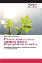 Nestor Julian Pulido Suarez - Eficacia de los extractos vegetales sobre la Rhipicephalus b.microplus