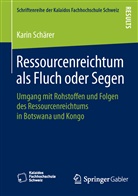 Karin Schärer - Ressourcenreichtum als Fluch oder Segen