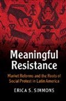 Erica Simmons, Erica S. Simmons, Erica S. (University of Wisconsin Simmons - Meaningful Resistance