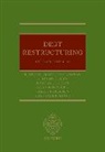 John Douglas, Randall Guynn, Alan Kornberg, Professor Rodrigo Kornberg Olivares-Caminal, Rodrigo Olivares-Caminal, Sarah Paterson... - Debt Restructuring