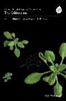 P Hedden, Peter Hedden, Peter (Rothamsted Research Hedden, Peter Thomas Hedden, Stephen G. Thomas, Peter Hedden... - Annual Plant Reviews, the Gibberellins
