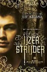 Julie Kagawa - De IJzerstrijder