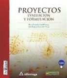 Proyectos : evaluación y formulación