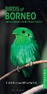 G W H Davison, G. W. H. Davison, Davison G W H, Chew Yen Fook - Birds of Borneo