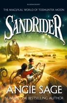 Angie Sage, Sage Angie - Sandrider