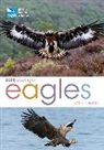 Mike Unwin - RSPB Spotlight: Eagles