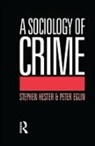 Eglin, Peter Eglin, Peter Hester Eglin, Eglin Peter, Stephen Hester - Sociology of Crime