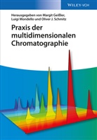 Margi Geissler, Margit Geißler, Luig Mondello, Luigi Mondello, Oliver J Schmitz, Oliver J. Schmitz - Praxis Der Multidimensionalen Chromatog