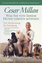 Cesa Millan, Cesar Millan, Melissa Jo Peltier - Was Sie von Ihrem Hund lernen können