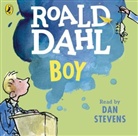 Quentin Blake, Roald Dahl, Dan Stevens, Quentin Blake, Dan Stevens - Boy Tales of Childhood (Hörbuch)