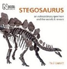 Paul Barrett, Paul M. Barrett - Stegosaurus