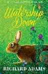 Richard Adams - Watership Down