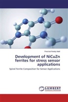 Penchal Reddy Matli - Development of NiCuZn ferrites for stress sensor applications