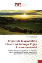 Gilles Colinet, Kalala-s, Serg Kashimbo Kalala, Serge Kashimbo Kalala - Impact de lexploitation miniere