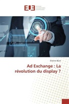 Etienne Blum, Blum-E - Ad exchange: la revolution du