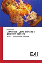Enzo Alibrandi - Le Meduse - Come allevarle e gestirle in acquario