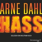 Arne Dahl, Wolfram Koch - Hass, 8 Audio-CD (Hörbuch)
