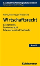 Han Haarmeyer, Hans Haarmeyer, Christop Hillebrand, Christoph Hillebrand, Volke Mayer, Volker Mayer... - Wirtschaftsrecht