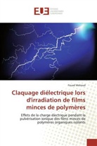 Fouad Wahoud, Wahoud-f - Claquage dielectrique lors