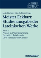 Rubino, Rubino, Elisa Rubino, Lori Sturlese, Loris Sturlese - Meister Eckhart: Studienausgabe der Lateinischen Werke. Bd.1,2