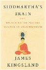 James Kingsland - Siddhartha's Brain