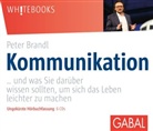 Peter Brandl, Susanne Grawe, Gilles Karolyi - Kommunikation, 4 Audio-CD (Hörbuch)