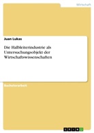 Juan Lukas - Die Halbleiterindustrie als Untersuchungsobjekt der Wirtschaftswissenschaften