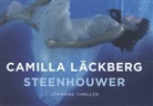 Camilla Läckberg - Steenhouwer