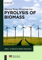 Zhongyang Luo, Shuron Wang, Shurong Wang, China Science Publishing &amp; Media Ltd. - Pyrolysis of Biomass